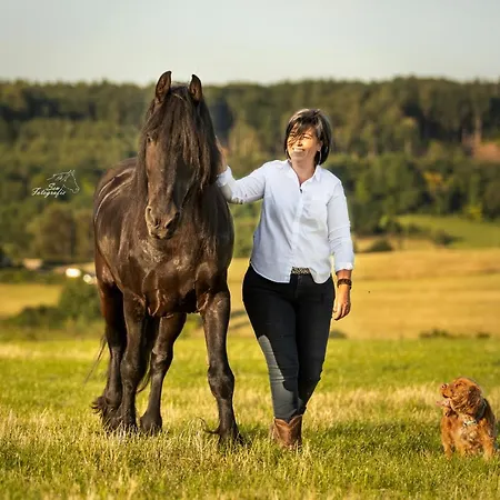 Sintpieter15 Met Zwembad Lo-Ghis