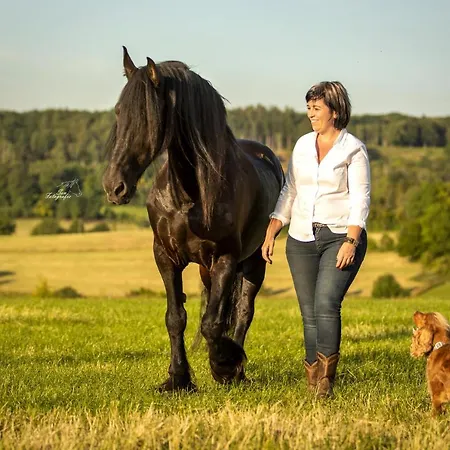 ベッド・アンド・ブレックファスト Sintpieter15 Met Zwembad Lo-Ghis Sint-Pieters-Voeren